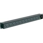 Panduit P12B01M Horizontal Basic Power Distribution Unit - Basic - NEMA 5-15P - 12 x NEMA 5-20R - 120 V AC - 1U - Horizontal - Rack-mountable