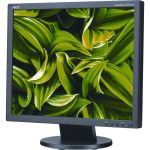 NEC Display AccuSync AS194MI-BK 19in SXGA WLED LCD Monitor - 5:4 - 19in Class - In-plane Switching (IPS) Technology - 1280 x 1024 - 16.7 Million Colors - 250 Nit Typical - 6 ms - 75 Hz