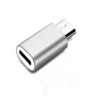 Lightning Female to USB-C Adapter Silver