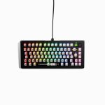 Glorious GLO-KB-GMMK3-75-BB-W-BLK-USGMMK 3 75% Barebones Wired Black